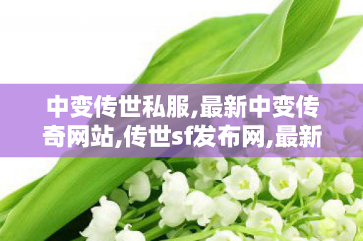 中变传世私服,最新中变传奇网站,传世sf发布网,最新中变传奇网站