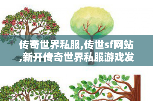 传奇世界私服,传世sf网站,新开传奇世界私服游戏发布网,夺宝传世sf,新开传奇世界私服游戏发布网