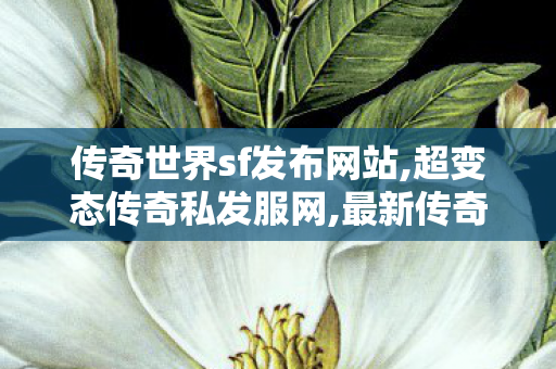 传奇世界sf发布网站,超变态传奇私发服网,最新传奇世界,超变态传奇私发服网