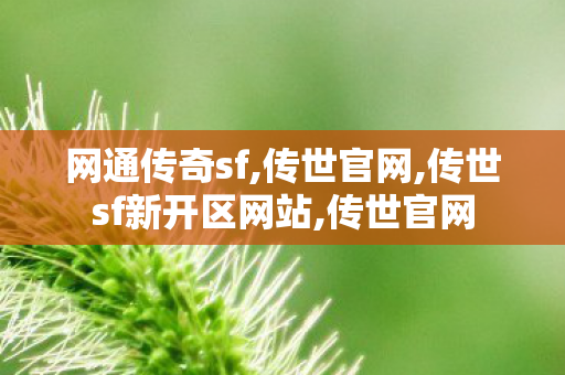 网通传奇sf,传世官网,传世sf新开区网站,传世官网