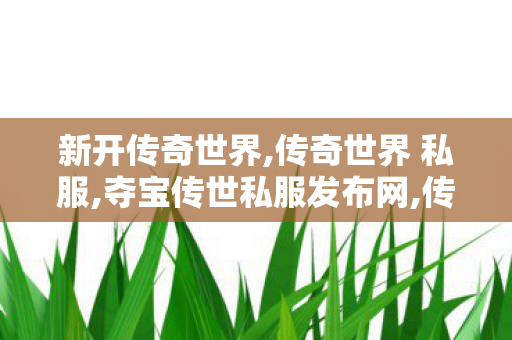 新开传奇世界,传奇世界 私服,夺宝传世私服发布网,传奇世界 私服