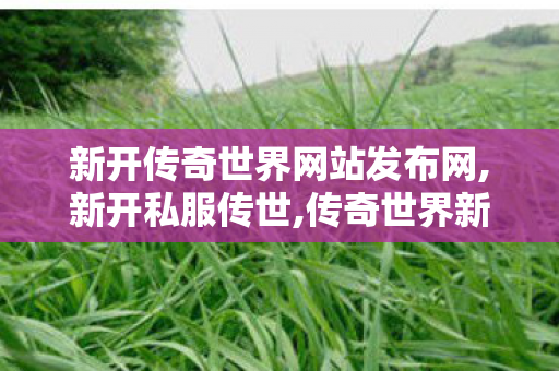 新开传奇世界网站发布网,新开私服传世,传奇世界新开服的发布网,新开私服传世