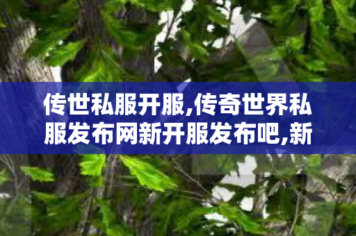 传世私服开服,传奇世界私服发布网新开服发布吧,新开中变传奇发布网站,传奇世界私服发布网新开服发布吧