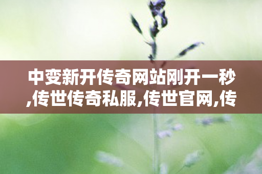 中变新开传奇网站刚开一秒,传世传奇私服,传世官网,传世传奇私服