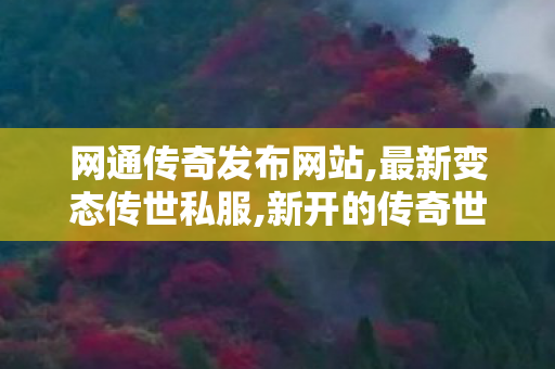 网通传奇发布网站,最新变态传世私服,新开的传奇世界私服,最新变态传世私服