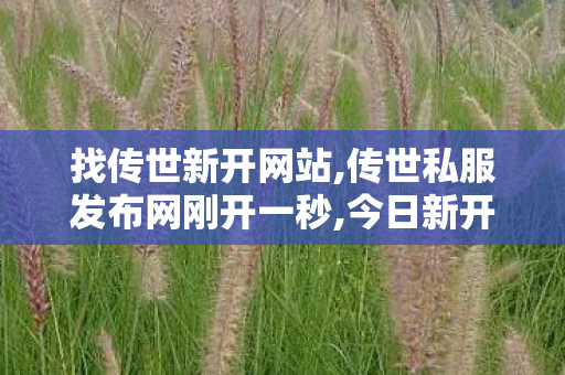找传世新开网站,传世私服发布网刚开一秒,今日新开传世sf网站,传世私服发布网刚开一秒