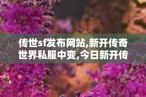 传世sf发布网站,新开传奇世界私服中变,今日新开传奇世界私服网站,新开传奇世界私服中变