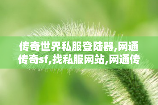 传奇世界私服登陆器,网通传奇sf,找私服网站,网通传奇sf