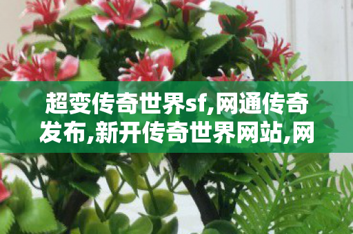超变传奇世界sf,网通传奇发布,新开传奇世界网站,网通传奇发布