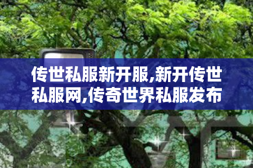 传世私服新开服,新开传世私服网,传奇世界私服发布网新开服发布吧,新开传世私服网