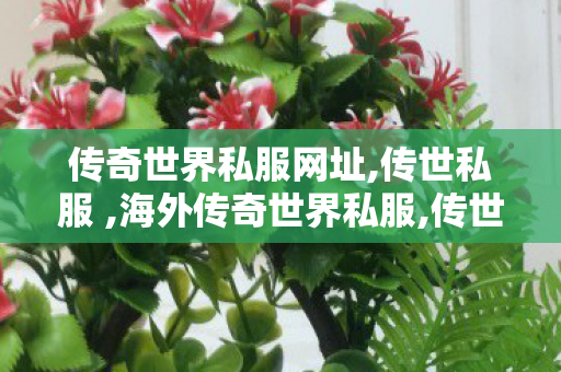 传奇世界私服网址,传世私服 ,海外传奇世界私服,传世私服