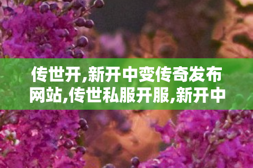 传世开,新开中变传奇发布网站,传世私服开服,新开中变传奇发布网站