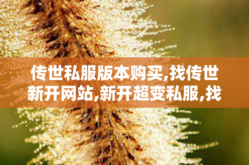 传世私服版本购买,找传世新开网站,新开超变私服,找传世新开网站