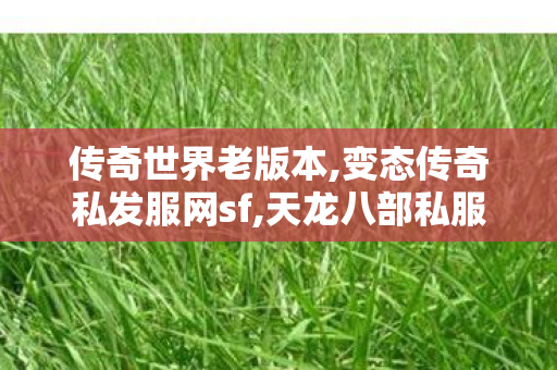 传奇世界老版本,变态传奇私发服网sf,天龙八部私服信息发布网,变态传奇私发服网sf