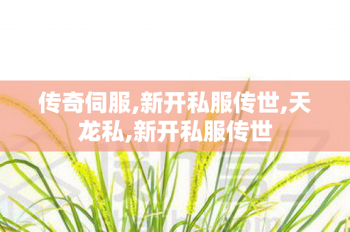 传奇伺服,新开私服传世,天龙私,新开私服传世