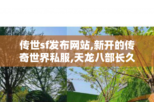 传世sf发布网站,新开的传奇世界私服,天龙八部长久服发布网,新开的传奇世界私服