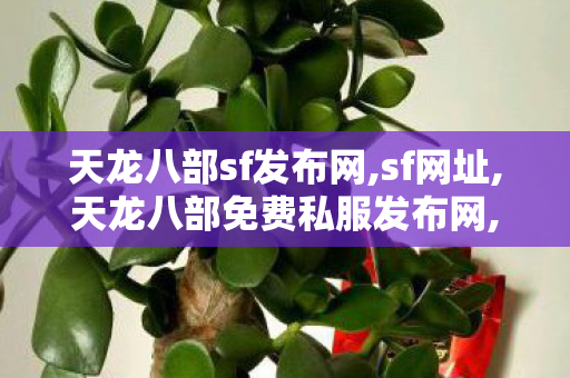 天龙八部sf发布网,sf网址,天龙八部免费私服发布网,sf网址