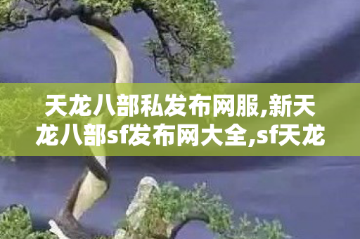 天龙八部私发布网服,新天龙八部sf发布网大全,sf天龙八部刚开一秒,新天龙八部sf发布网大全