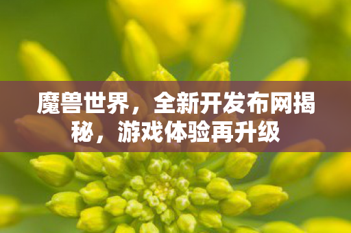 魔兽世界，全新开发布网揭秘，游戏体验再升级