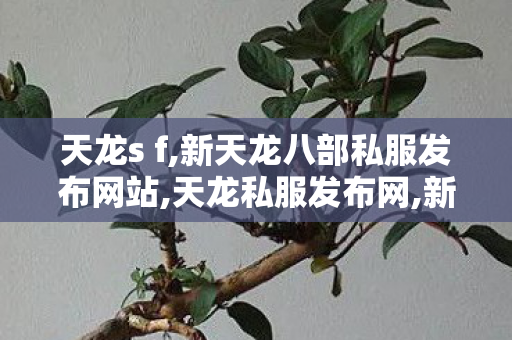 天龙s f,新天龙八部私服发布网站,天龙私服发布网,新天龙八部私服发布网站