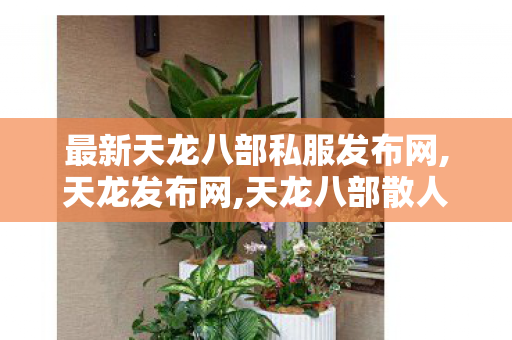 最新天龙八部私服发布网,天龙发布网,天龙八部散人找服网,天龙发布网