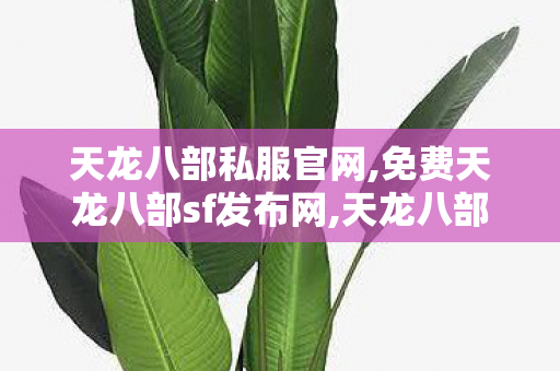 天龙八部私服官网,免费天龙八部sf发布网,天龙八部官网sf,免费天龙八部sf发布网