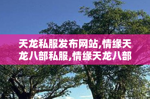 天龙私服发布网站,情缘天龙八部私服,情缘天龙八部私服,情缘天龙八部私服