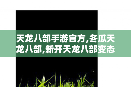 天龙八部手游官方,冬瓜天龙八部,新开天龙八部变态sf网,冬瓜天龙八部