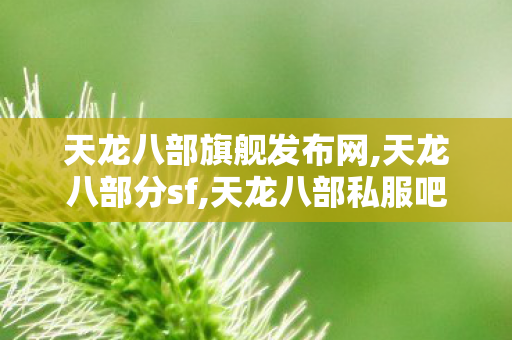 天龙八部旗舰发布网,天龙八部分sf,天龙八部私服吧,天龙八部分sf