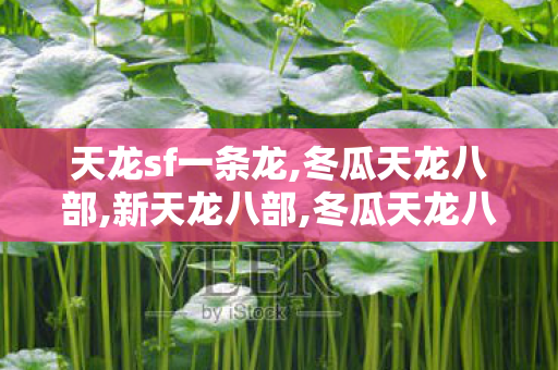天龙sf一条龙,冬瓜天龙八部,新天龙八部,冬瓜天龙八部