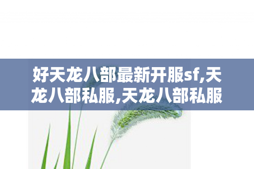 好天龙八部最新开服sf,天龙八部私服,天龙八部私服网站发布网,天龙八部私服