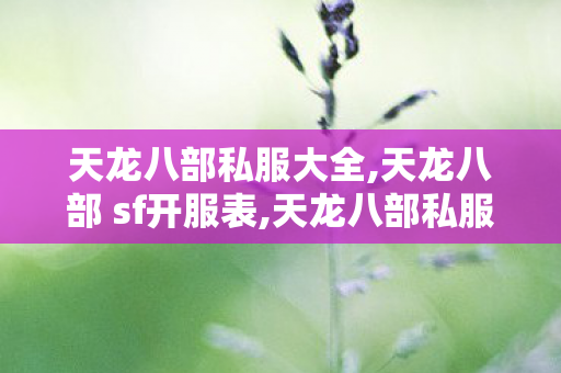 天龙八部私服大全,天龙八部 sf开服表,天龙八部私服开服,天龙八部 sf开服表