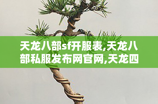 天龙八部sf开服表,天龙八部私服发布网官网,天龙四副,天龙八部私服发布网官网