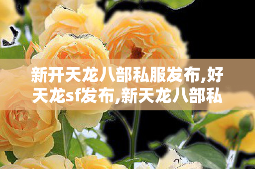 新开天龙八部私服发布,好天龙sf发布,新天龙八部私服,好天龙sf发布