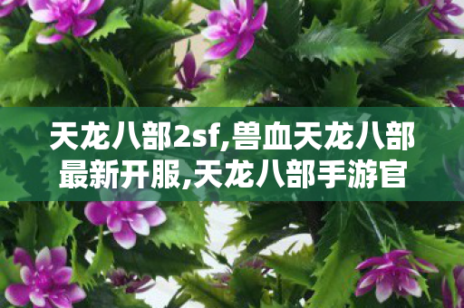 天龙八部2sf,兽血天龙八部最新开服,天龙八部手游官方,兽血天龙八部最新开服