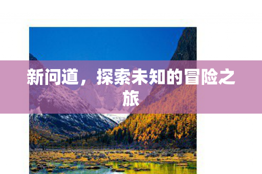 新问道，探索未知的冒险之旅