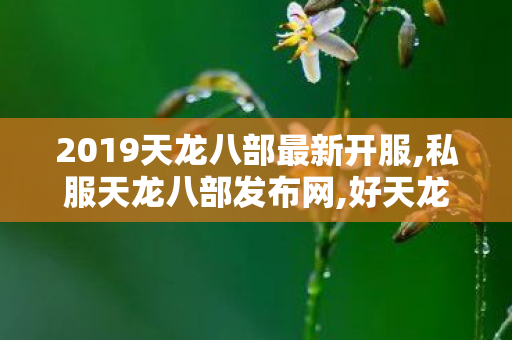 2019天龙八部最新开服,私服天龙八部发布网,好天龙,私服天龙八部发布网