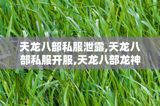 天龙八部私服泄露,天龙八部私服开服,天龙八部龙神传说私服,天龙八部私服开服