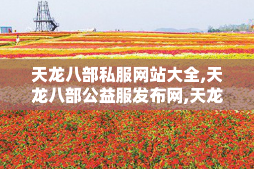天龙八部私服网站大全,天龙八部公益服发布网,天龙八部变态私服网,天龙八部公益服发布网