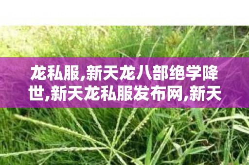 龙私服,新天龙八部绝学降世,新天龙私服发布网,新天龙八部绝学降世