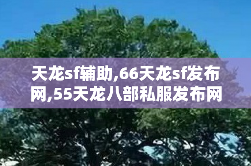 天龙sf辅助,66天龙sf发布网,55天龙八部私服发布网,66天龙sf发布网