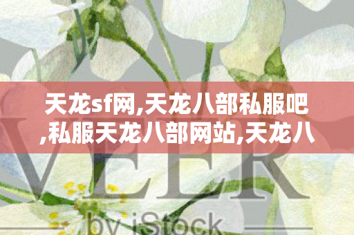 天龙sf网,天龙八部私服吧,私服天龙八部网站,天龙八部私服吧