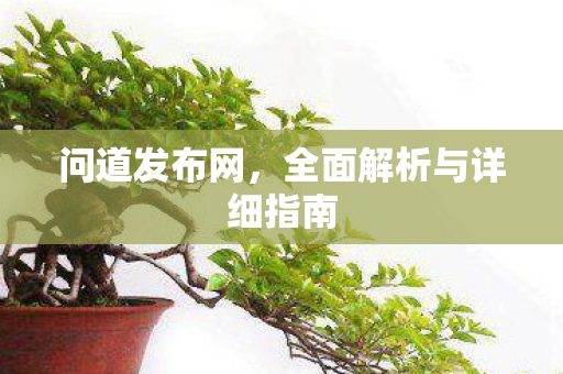 问道发布网，全面解析与详细指南