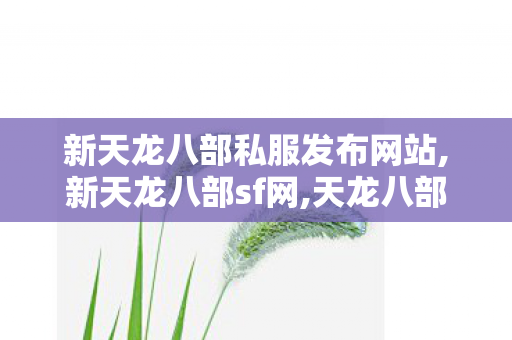 新天龙八部私服发布网站,新天龙八部sf网,天龙八部私服发不网,新天龙八部sf网