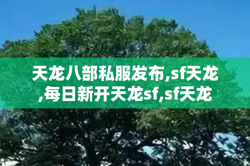 天龙八部私服发布,sf天龙,每日新开天龙sf,sf天龙