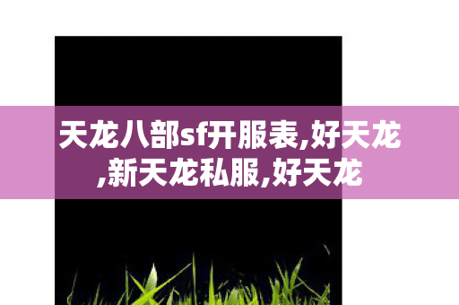 天龙八部sf开服表,好天龙,新天龙私服,好天龙