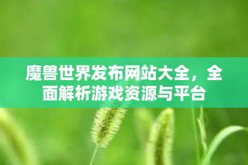 魔兽世界发布网站大全，全面解析游戏资源与平台