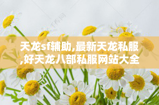 天龙sf辅助,最新天龙私服,好天龙八部私服网站大全,最新天龙私服