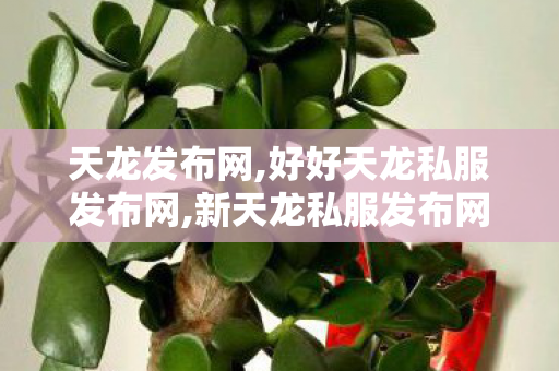 天龙发布网,好好天龙私服发布网,新天龙私服发布网,好好天龙私服发布网