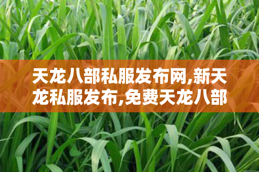 天龙八部私服发布网,新天龙私服发布,免费天龙八部公益服发布网,新天龙私服发布